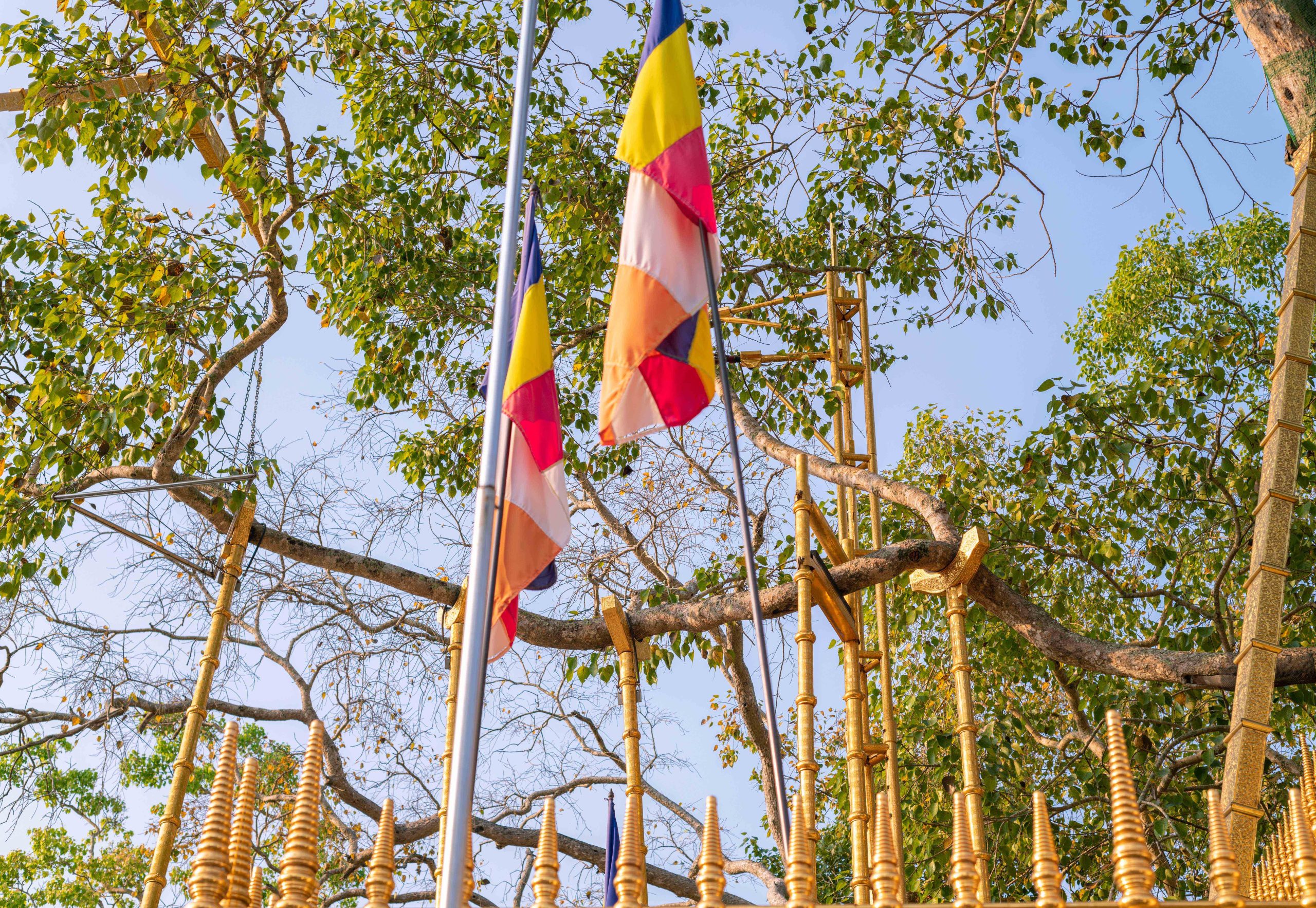 Anuradhapura to Sigiriya - Discover the Glory of Sri Lanka's First Ancient Kingdom