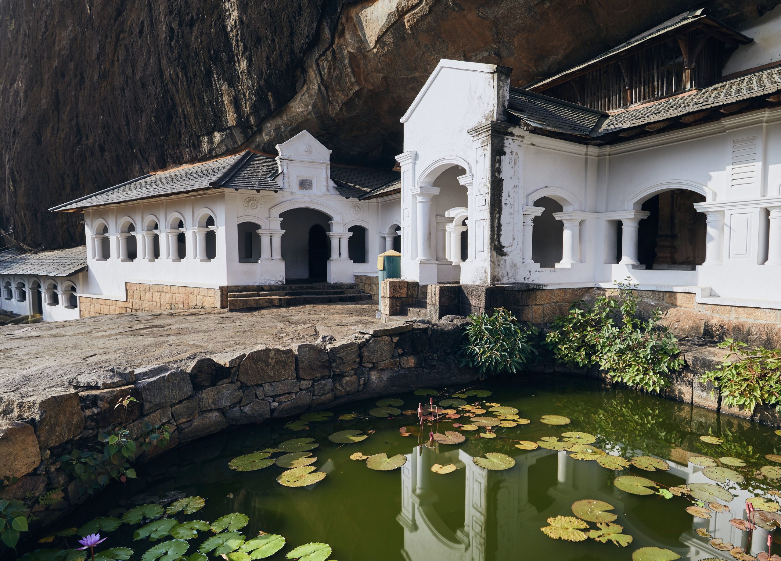 Sigiriya to Kandy - From Sacred Cave Temples to Sri Lanka's Largest Gathering of Wild Elephants