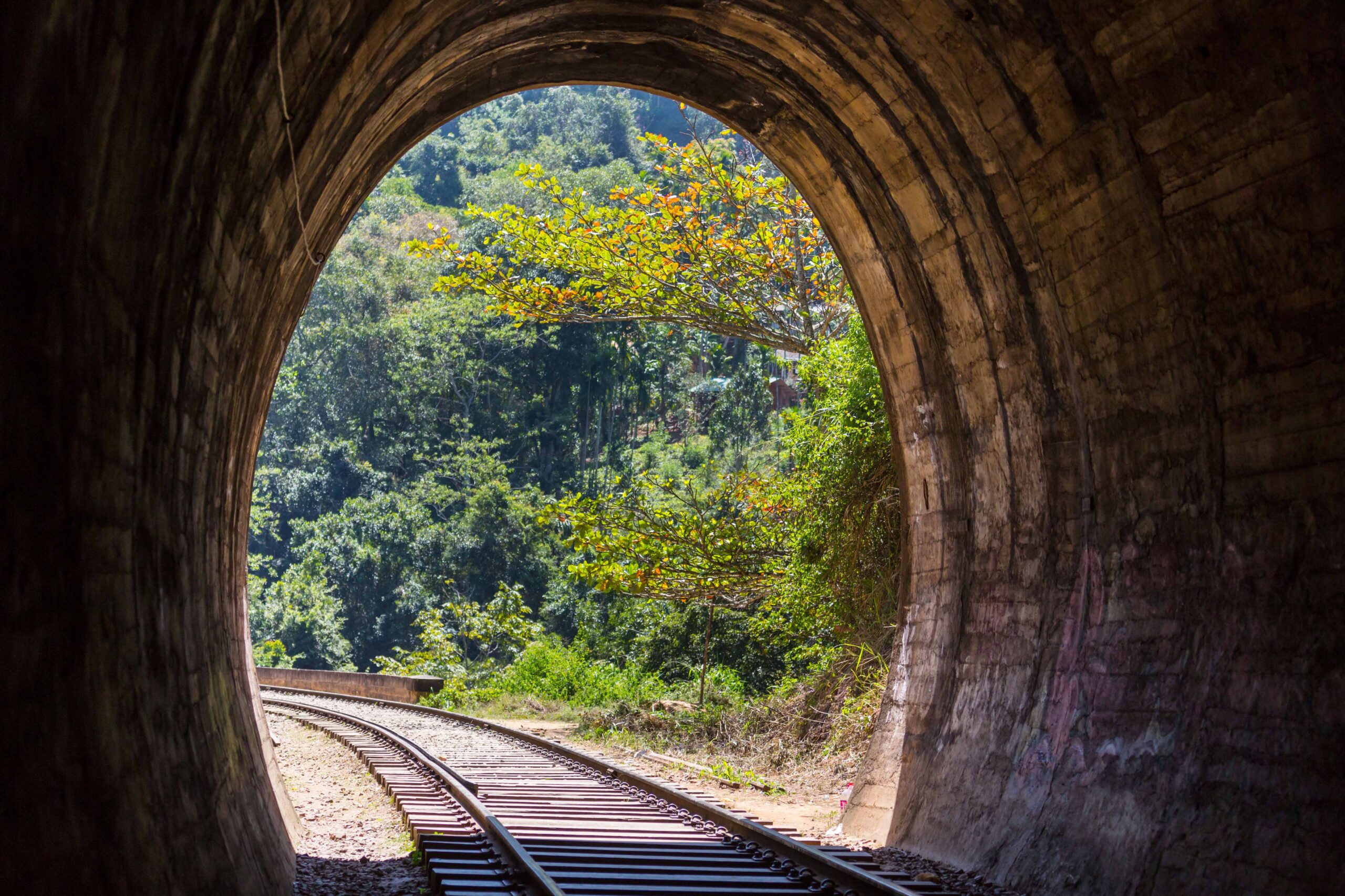 Nuwara Eliya to Yala | Horton Plains | Nine Arch Bridge | Optional Scenic Train Journey