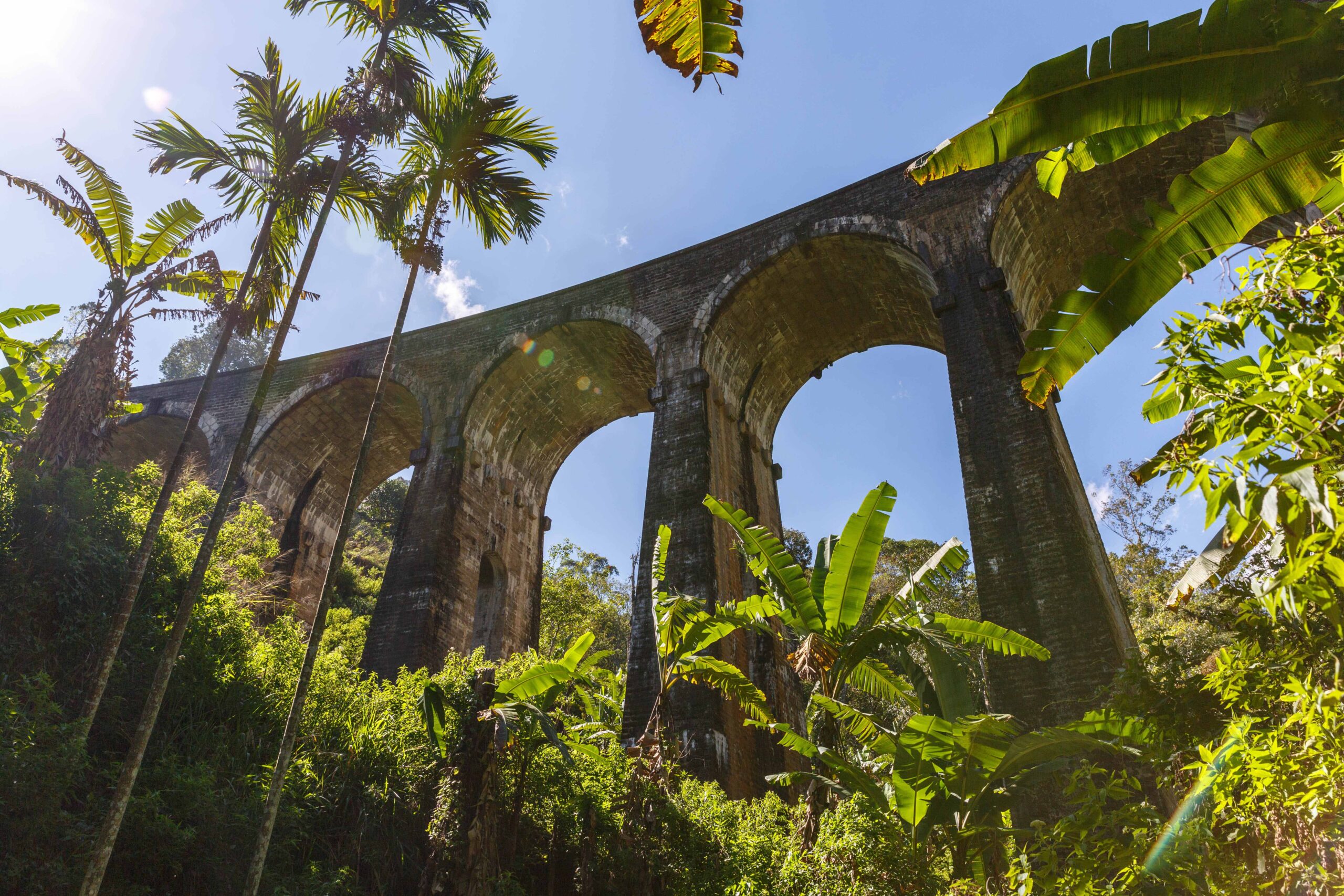 Nuwara Eliya to Yala | Horton Plains | Nine Arch Bridge | Optional Scenic Train Journey