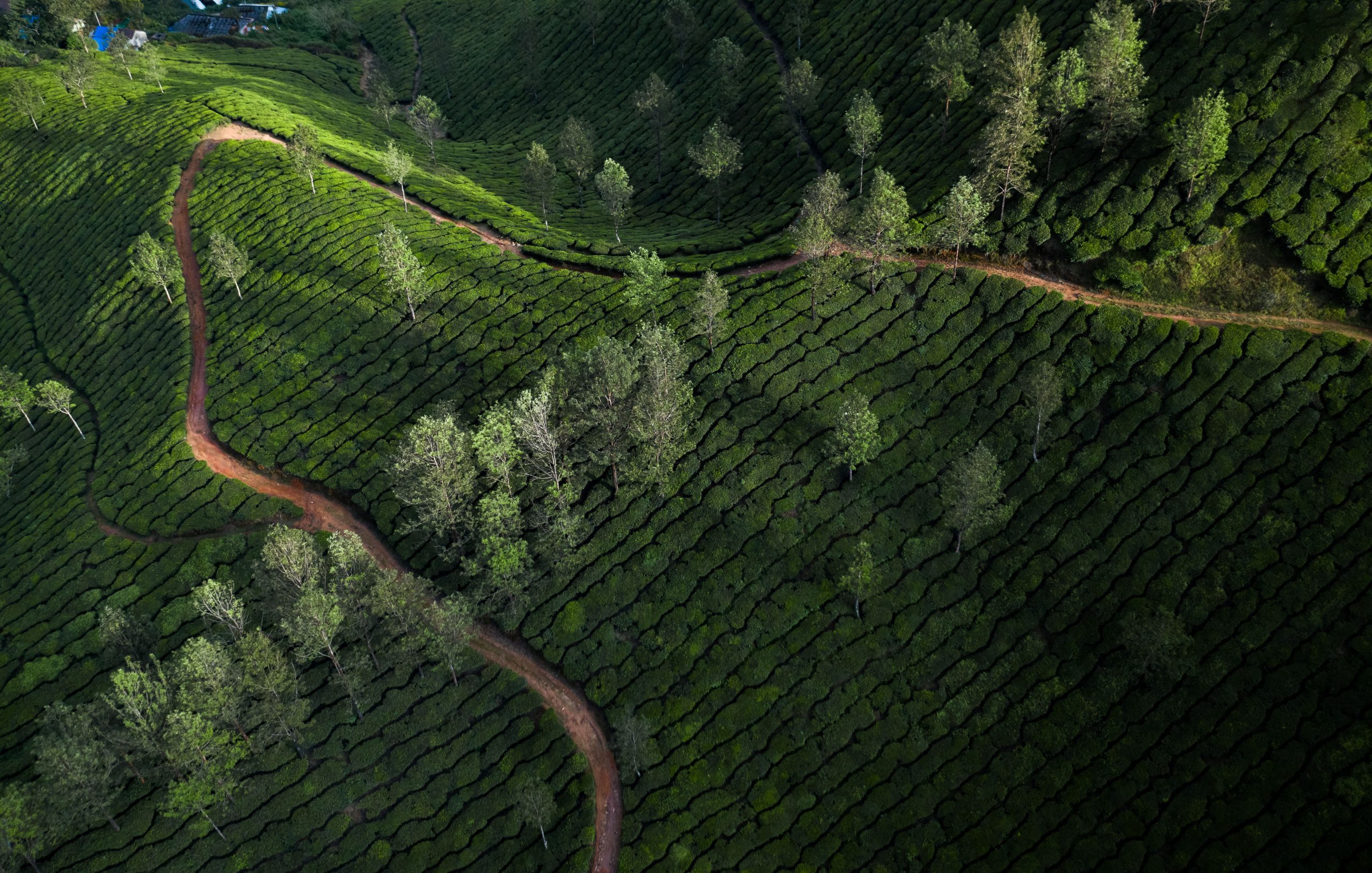 Discover the Last Royal Kingdom of Kandy