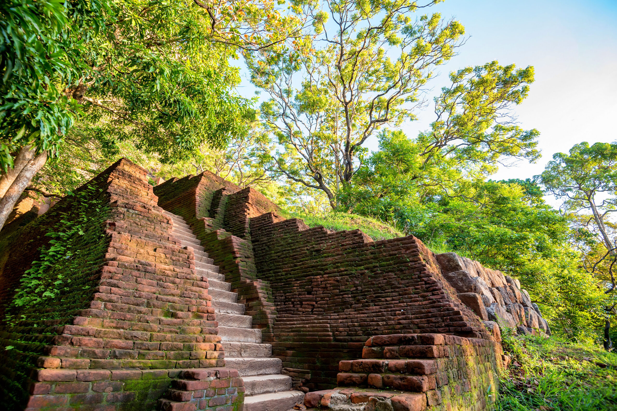 Negombo to Sigiriya | Pinnawala Elephant Orphanage | Sigiriya Lion Rock