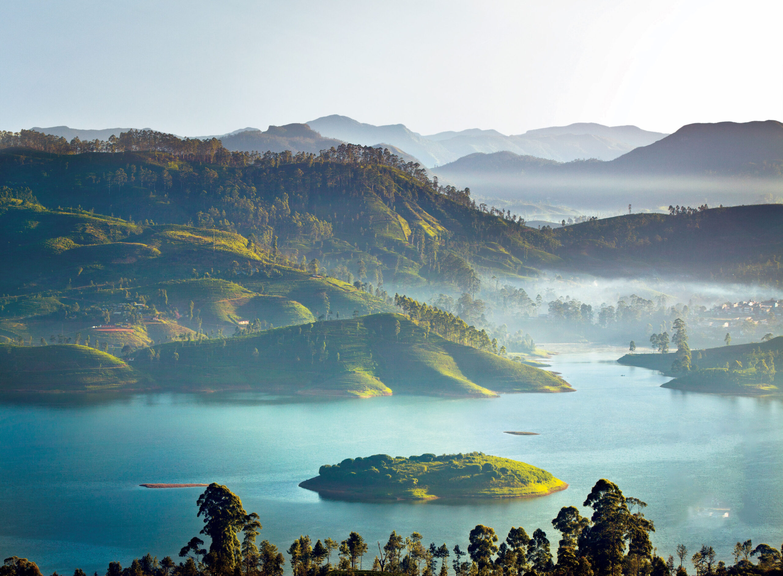 Kandy to Nuwara Eliya | Royal Botanical Garden | Tea Factory | Gregory Lake | Pink Post Office
