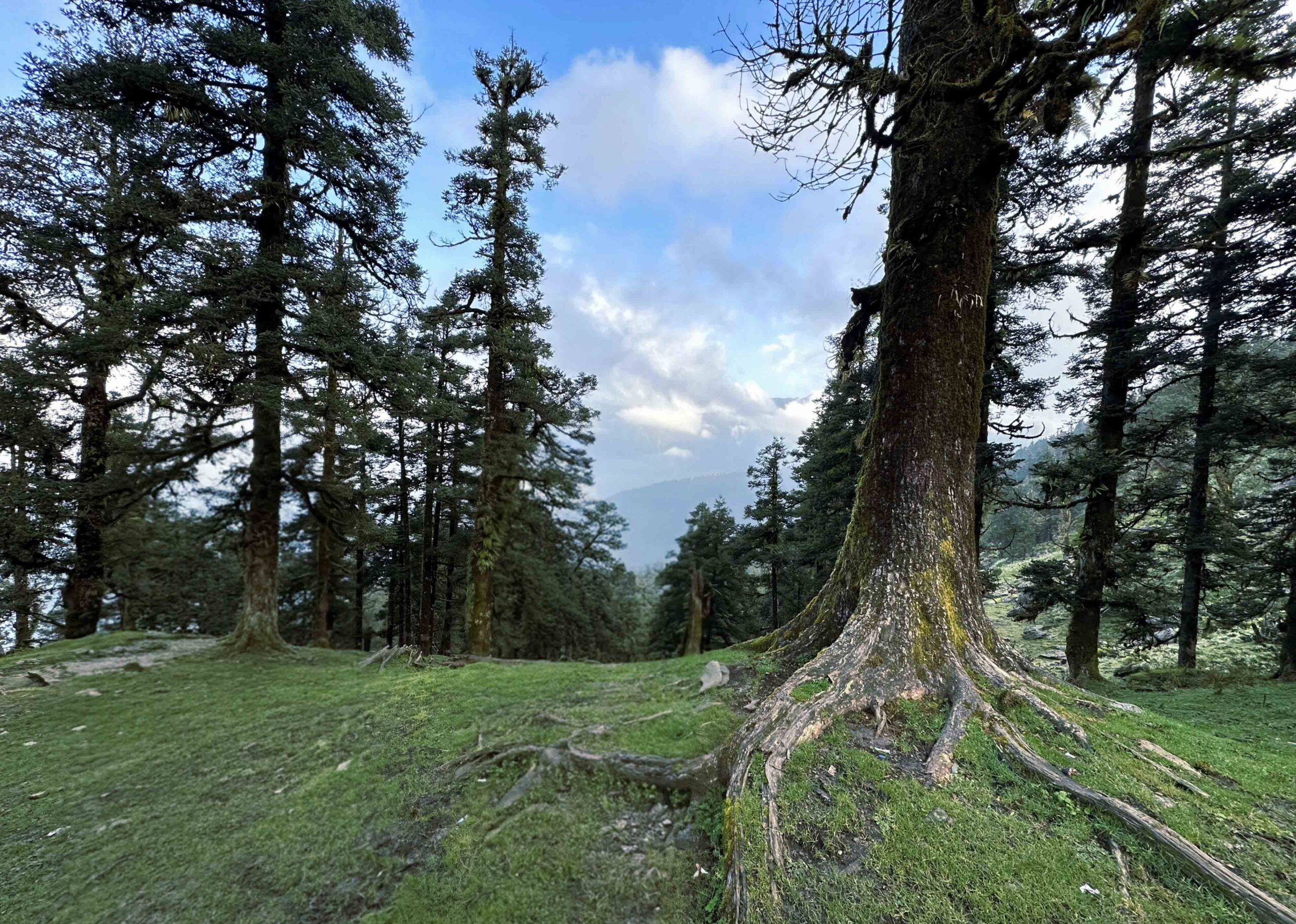 Shimla Sightseeing, Kufri Snow Point & Mall Road