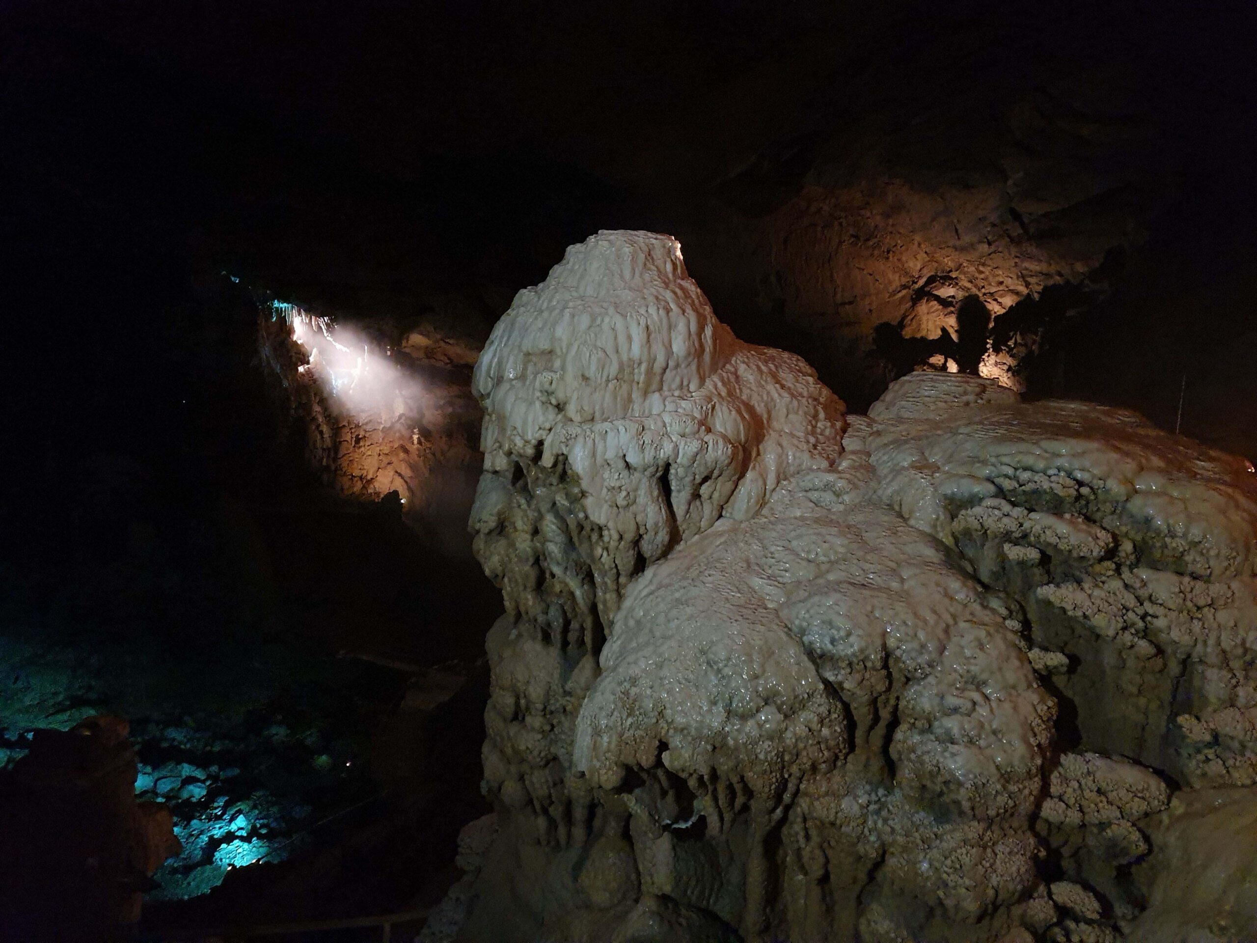 Waitomo Glowworm Caves, Hobbiton & Rotorua