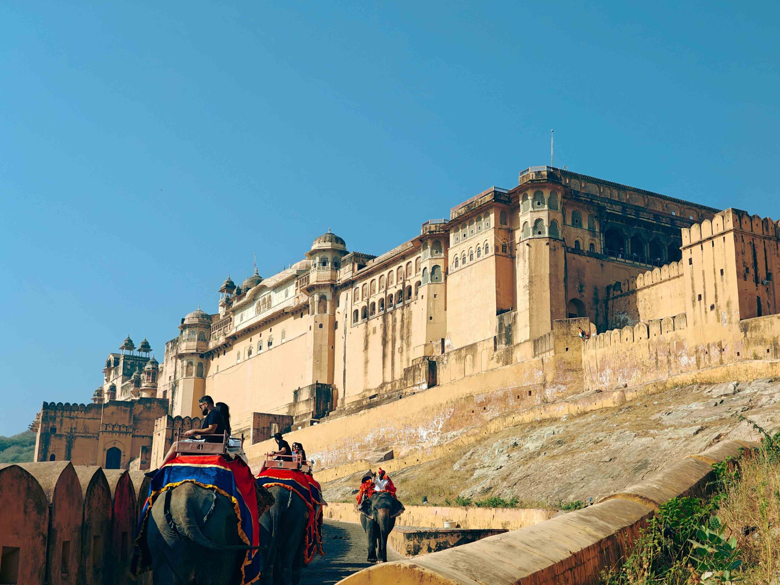 Amber Fort Elephant/Jeep Ride & Pink City Highlights
