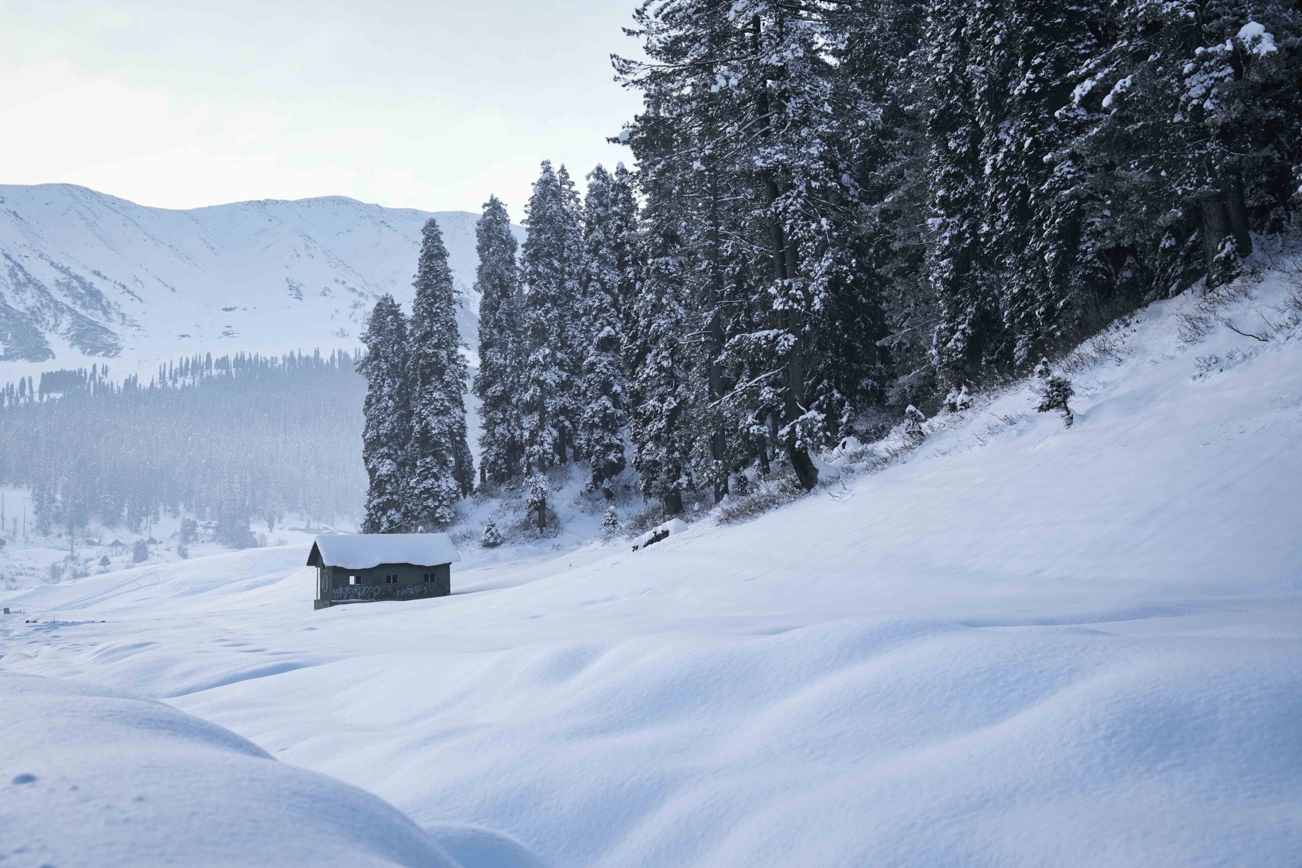 Excursion to Gulmarg & Gondola Cable Car Ride