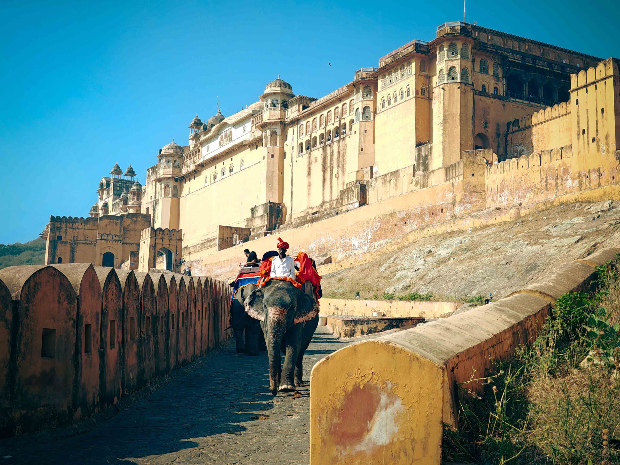 Amber Fort Elephant/Jeep Ride & Pink City Highlights