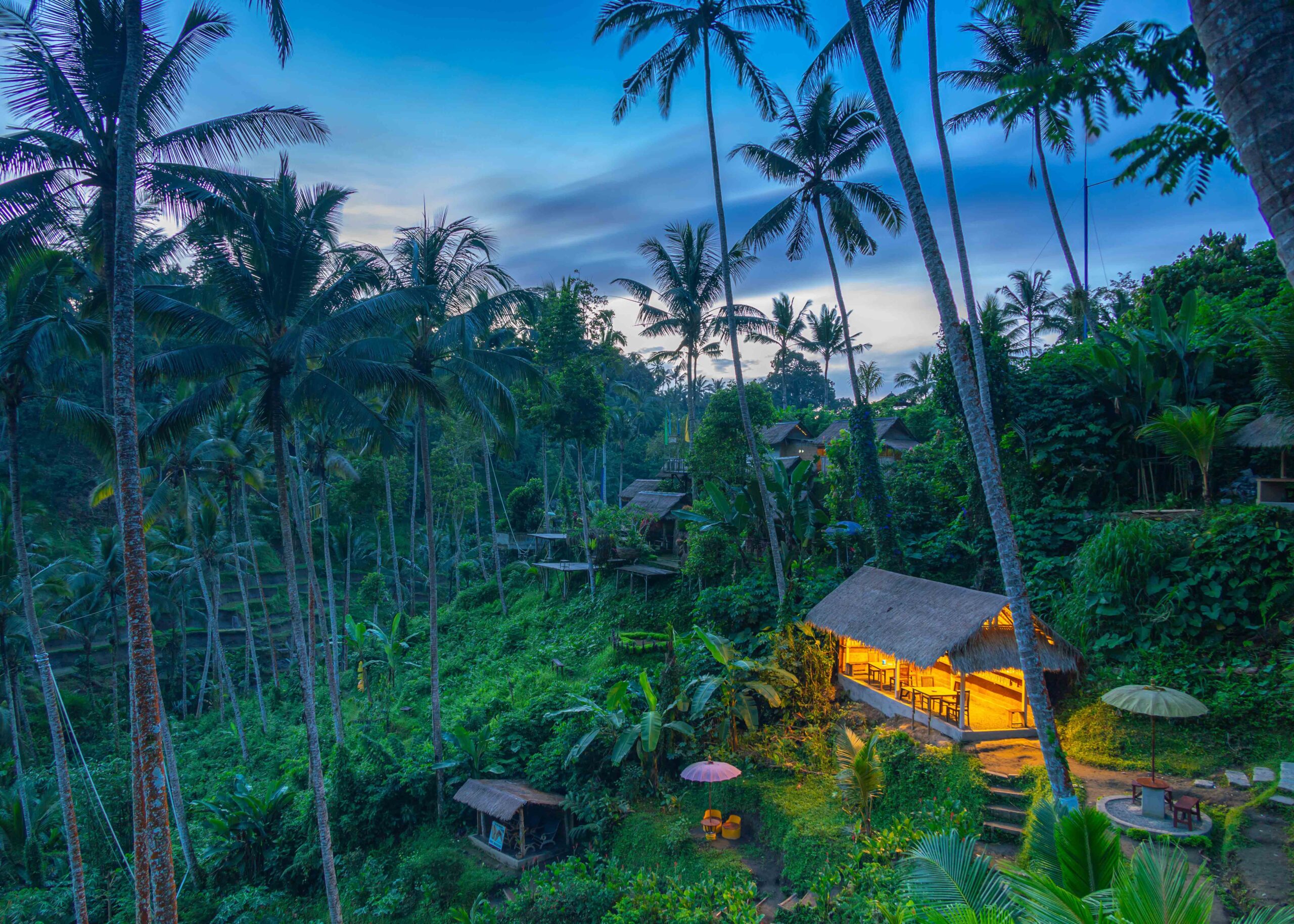 D'Tukad River Club Swing, Tegenungan Waterfall & Sailor Moon Phinisi Sunset Dinner Cruise