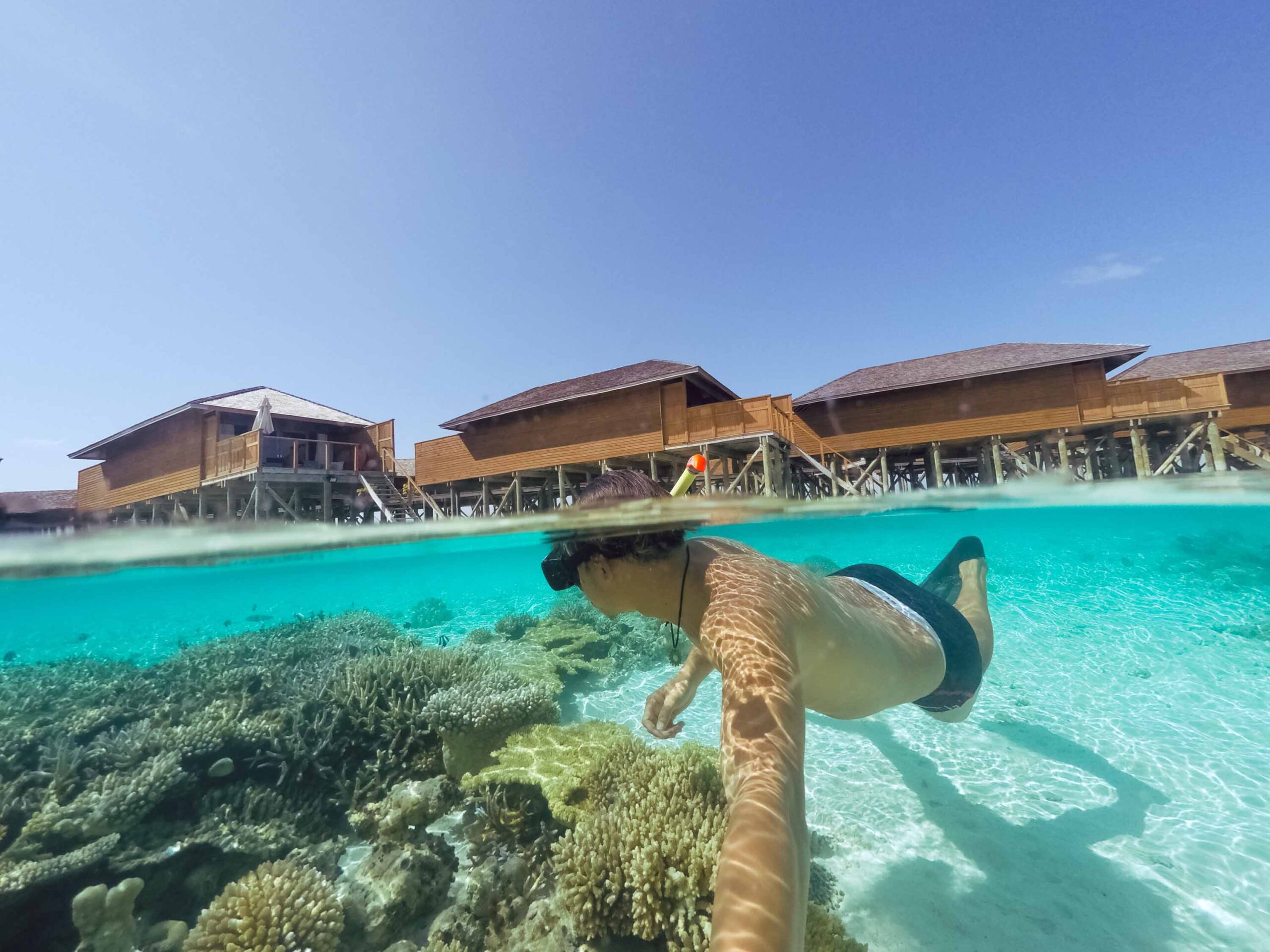 Coral Reef Snorkeling & Overwater Villa Upgrade