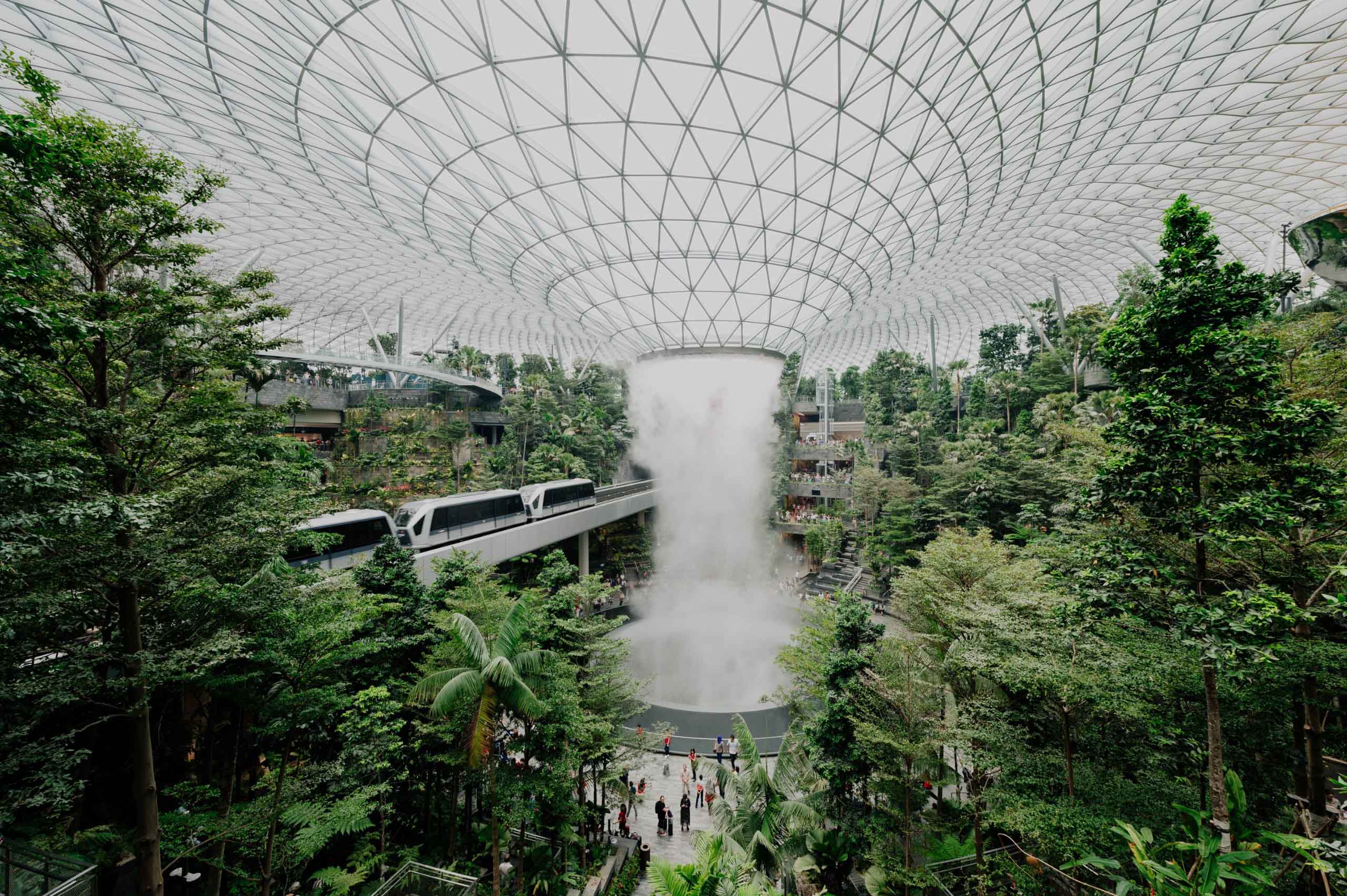Jewel Changi Canopy Park & Departure