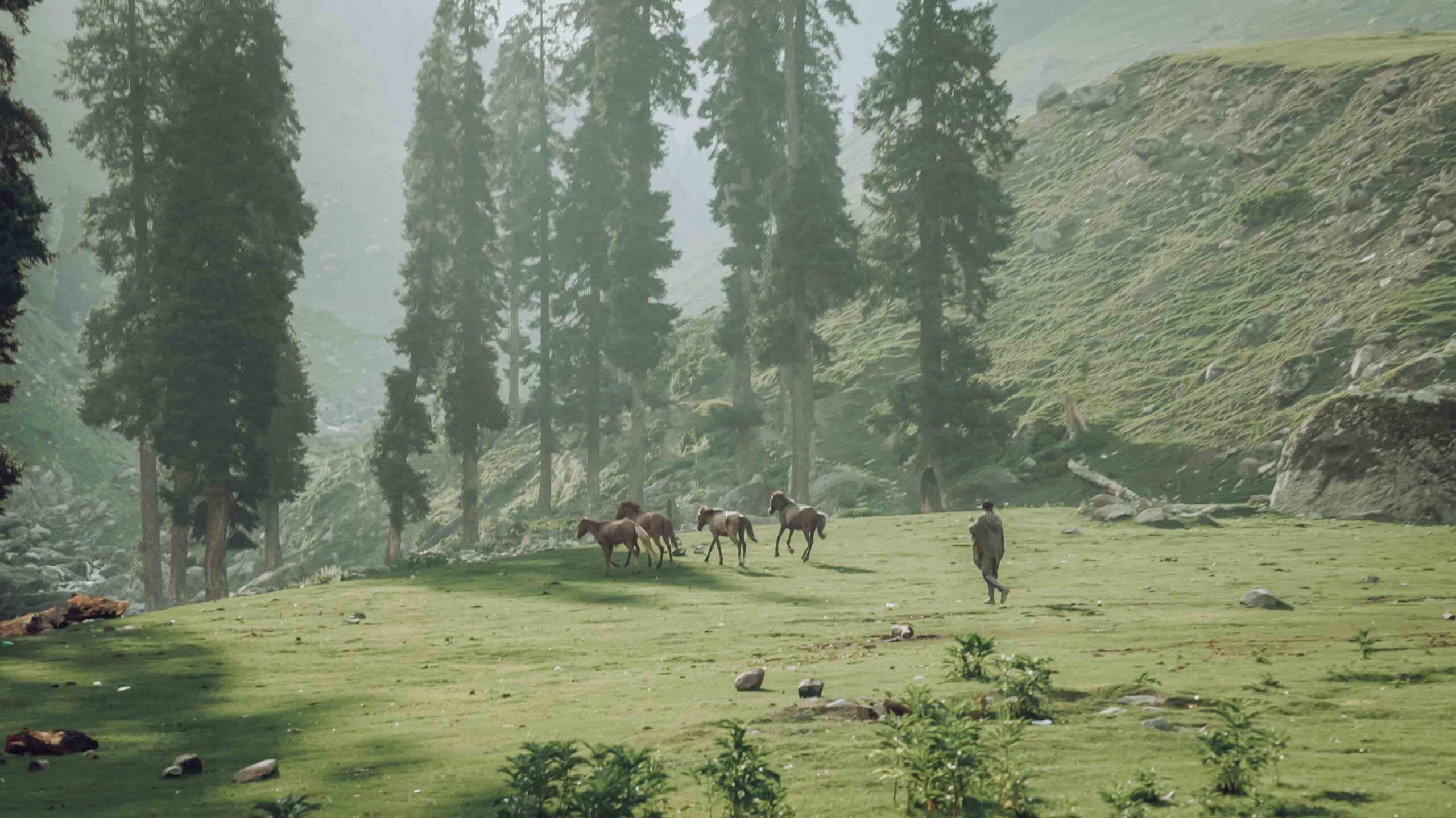 Scenic Drive to Pahalgam (Valley of Shepherds) & Betaab Valley