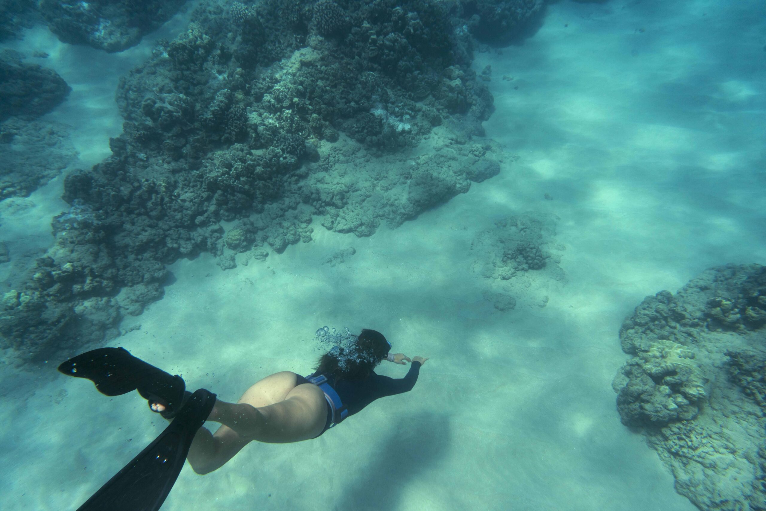 Coral Reef Snorkeling & Overwater Villa Upgrade