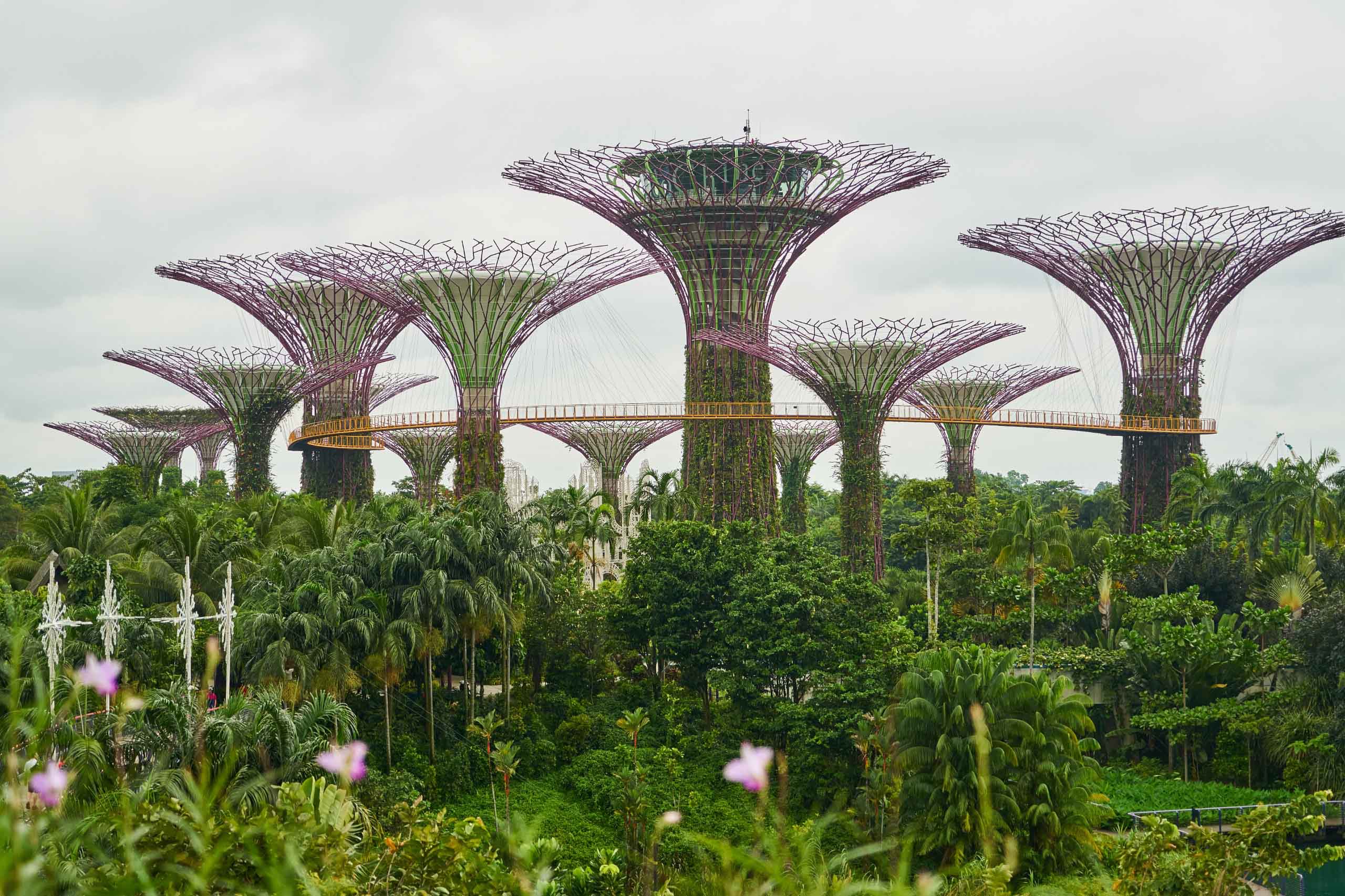 Jewel Changi Canopy Park & Departure