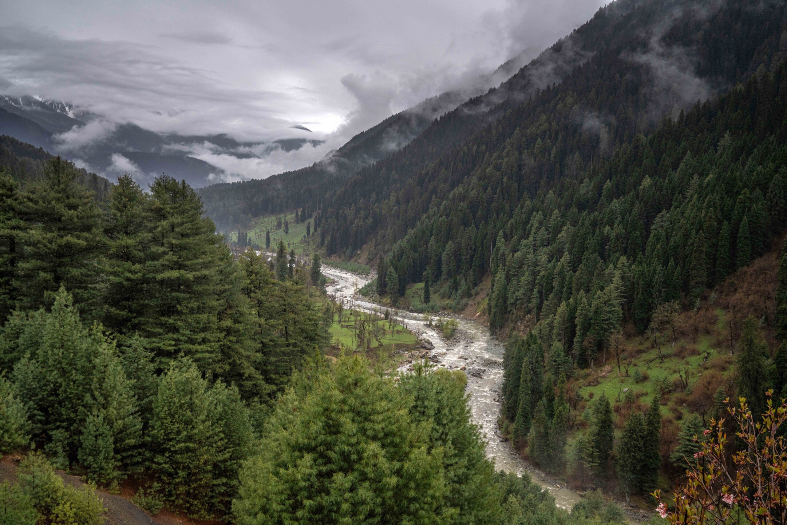 Scenic Drive to Pahalgam (Valley of Shepherds) & Betaab Valley