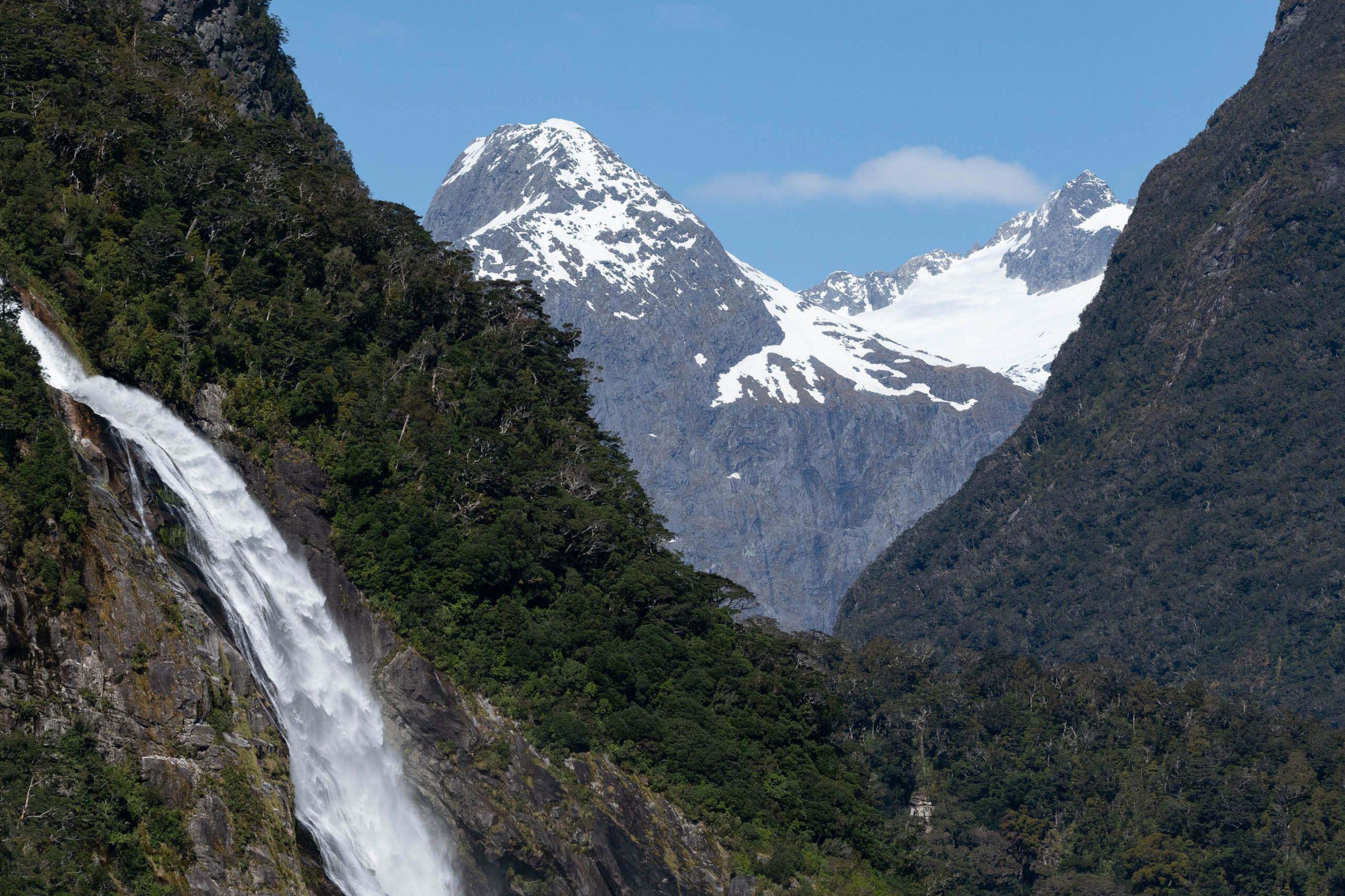 Queenstown & Milford Sound Fiord Cruise