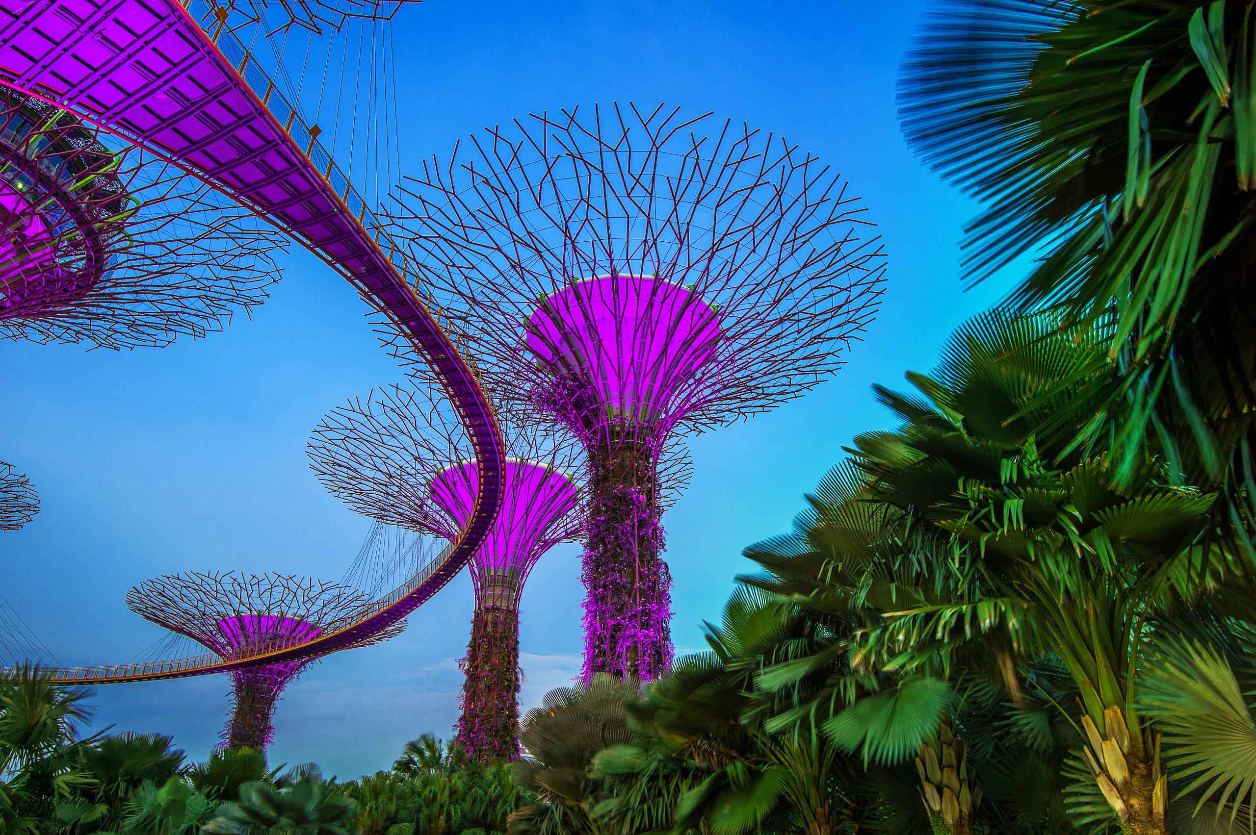 Jewel Changi Canopy Park & Departure