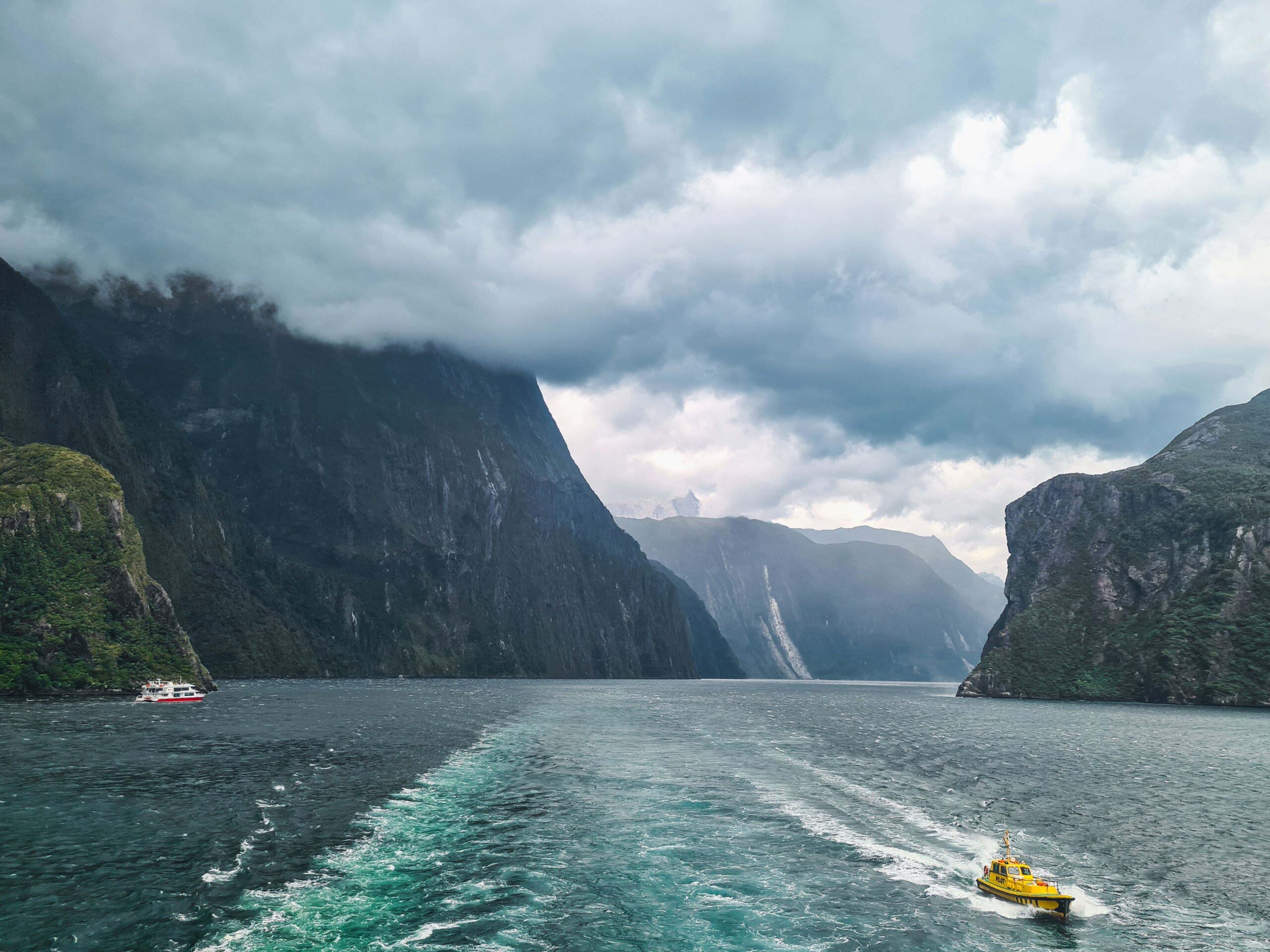 Queenstown & Milford Sound Fiord Cruise