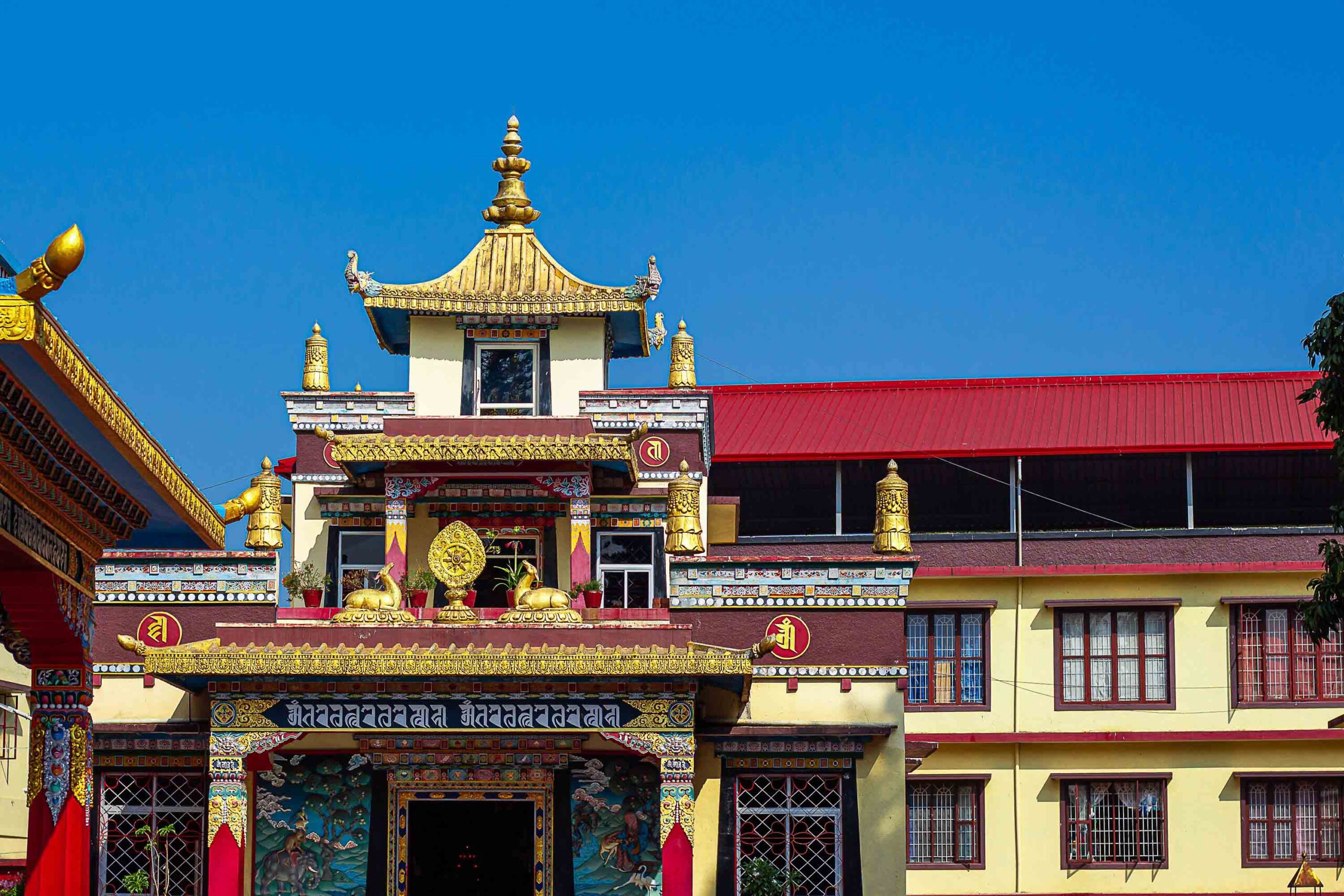 Manali Local Sightseeing & Hadimba Temple