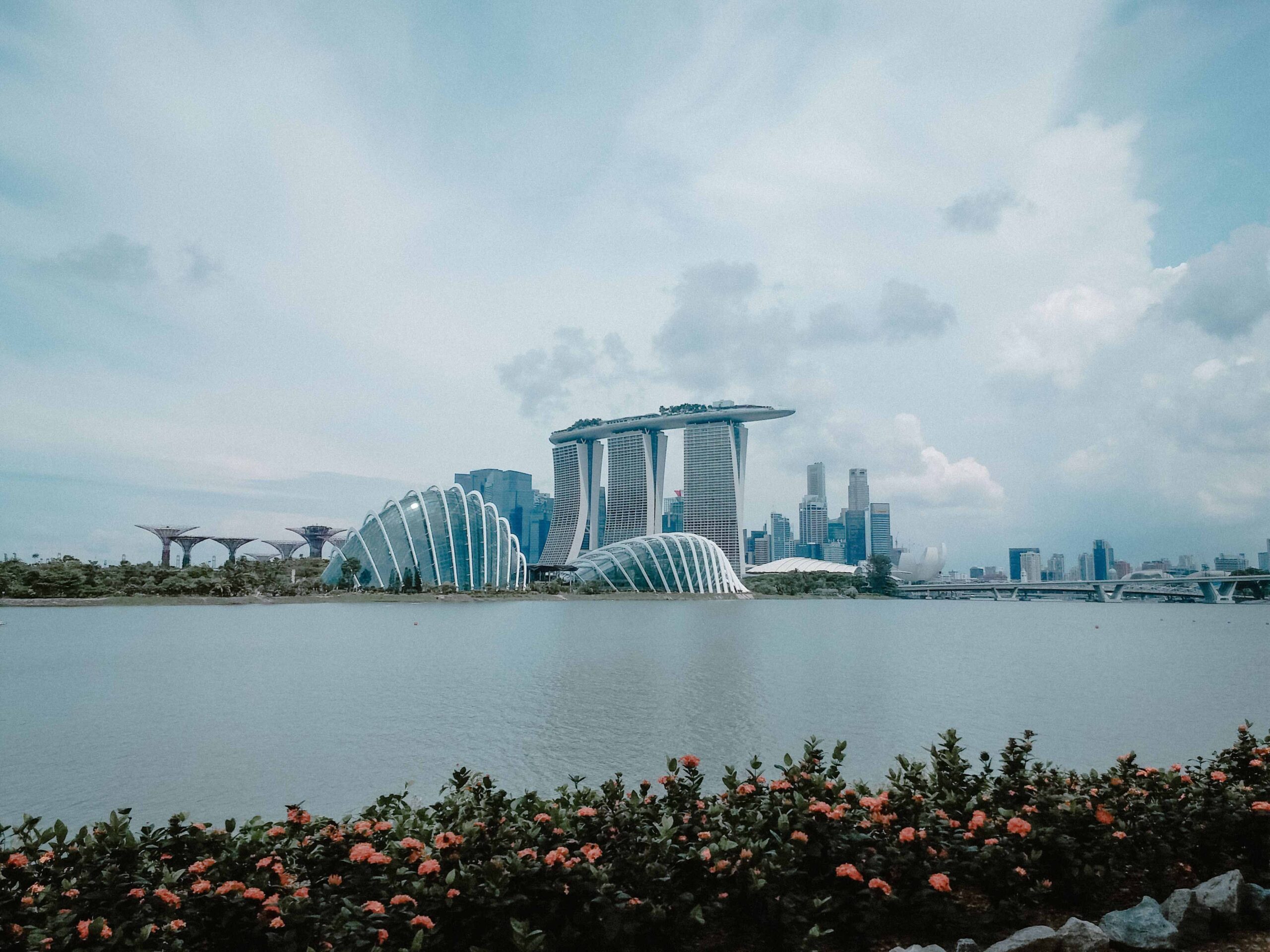 Arrival in Singapore & Night Safari