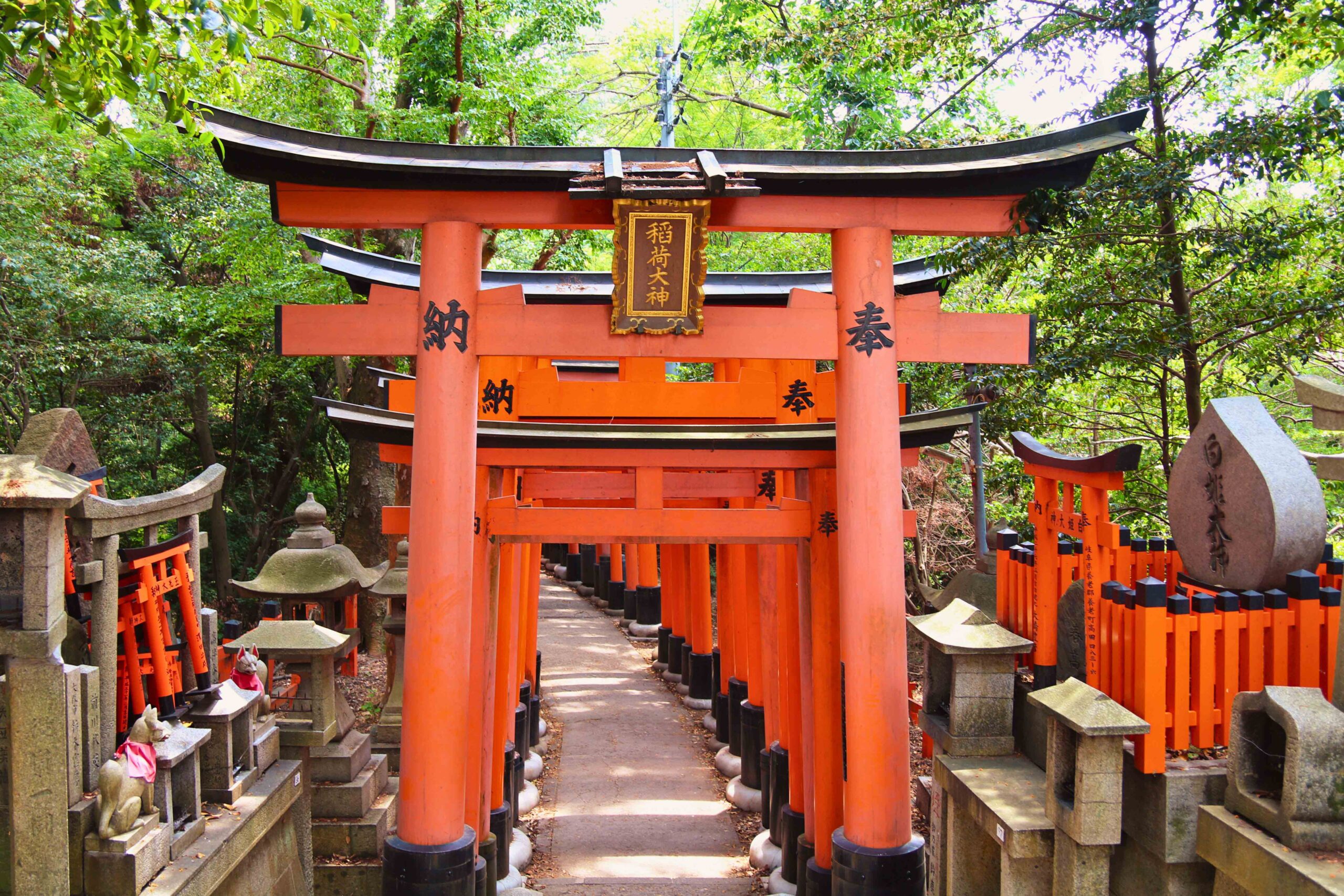 Historic Kyoto Temples & Arashiyama Bamboo Grove