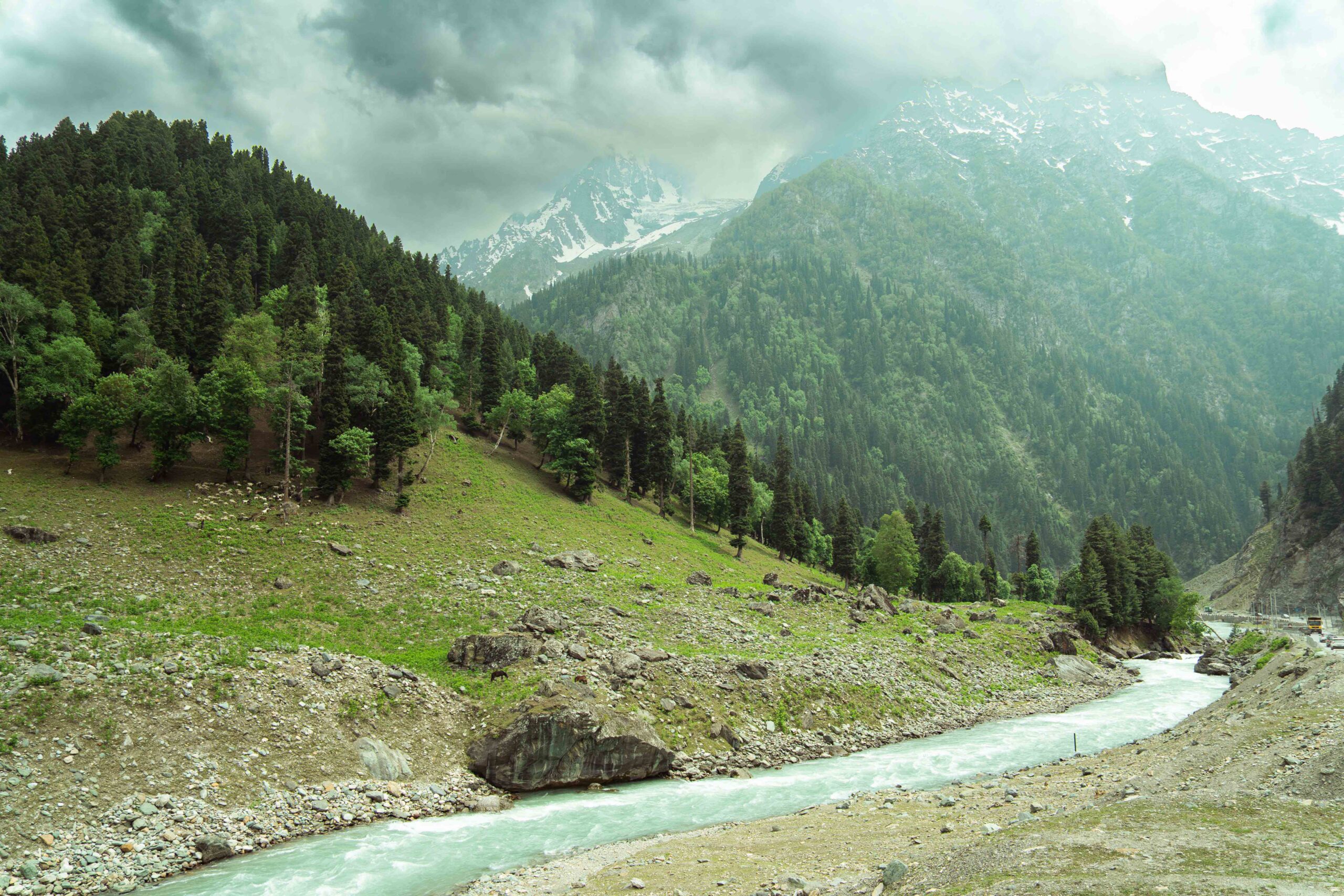 Sonamarg ('Meadow of Gold') Glacier Excursion