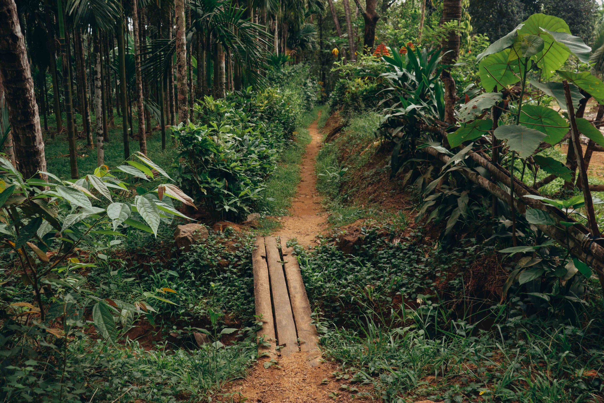 The Spice Road To Kandy