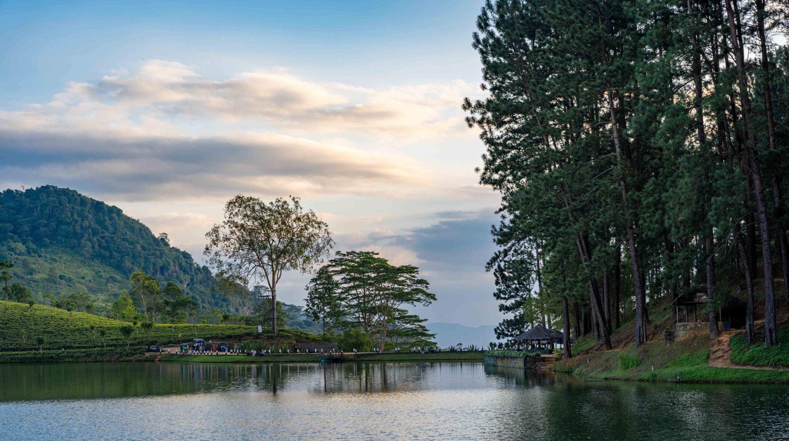 The Spice Road To Kandy