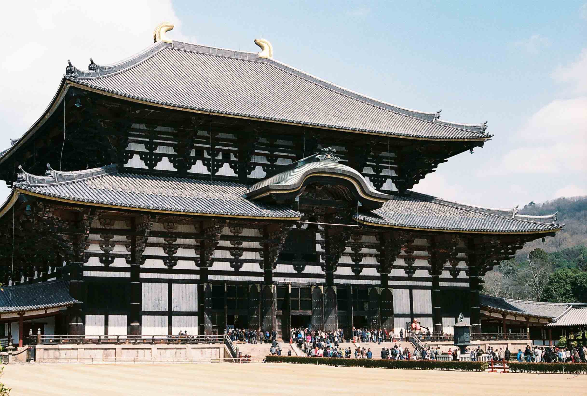 Nara Deer Park & Osaka Castle