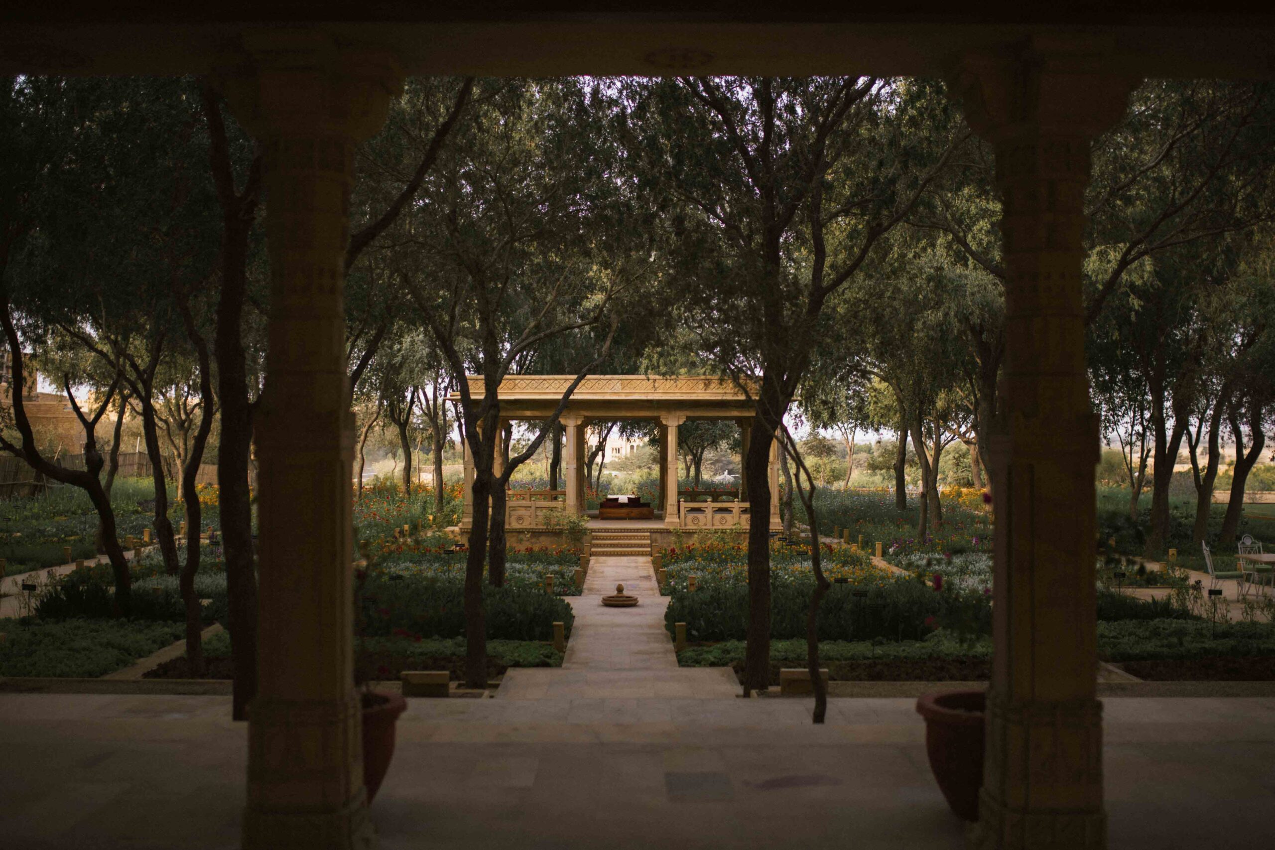 Jetavana Monastery & Ananda Bodhi Tree in Sravasti