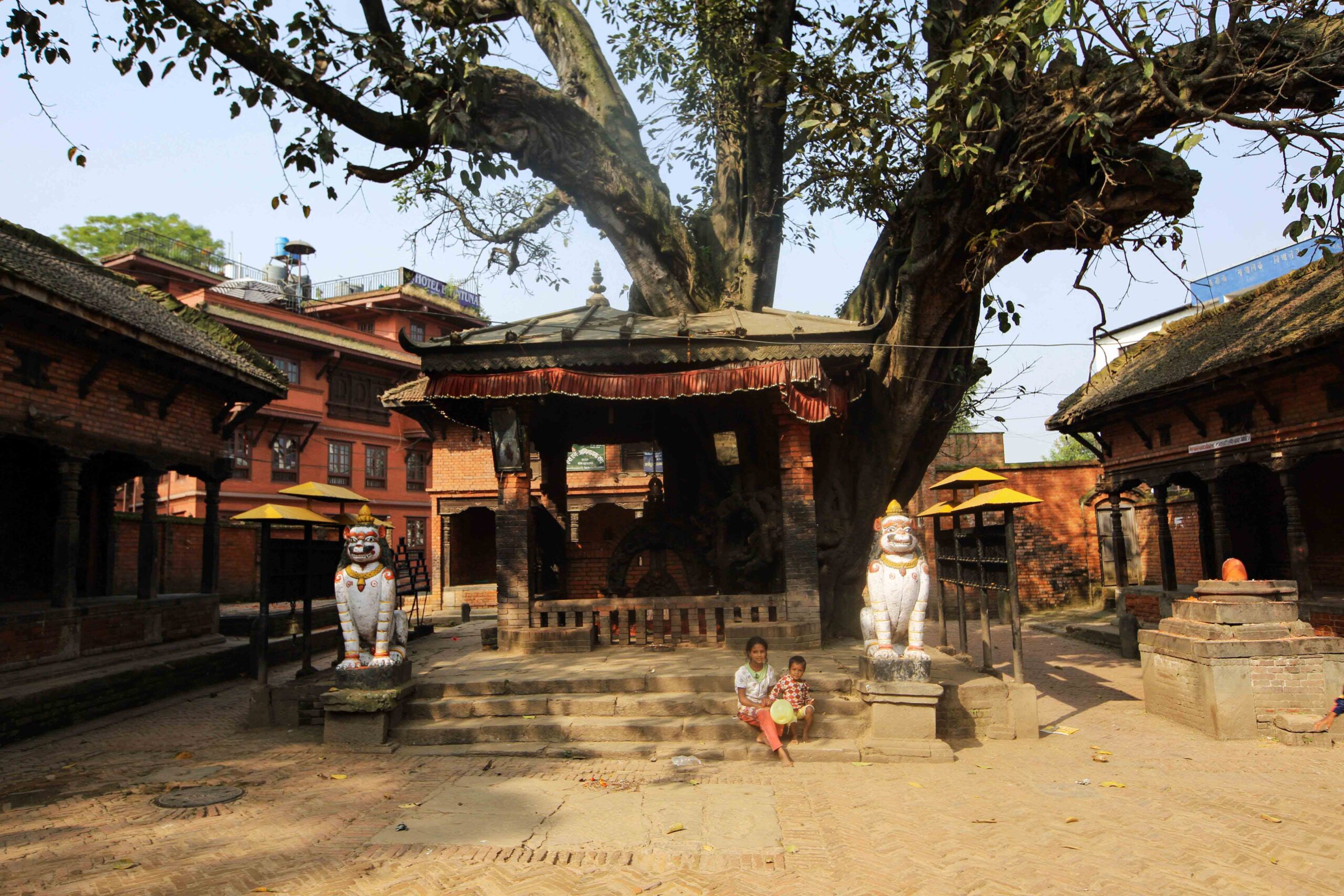 Jetavana Monastery & Ananda Bodhi Tree in Sravasti