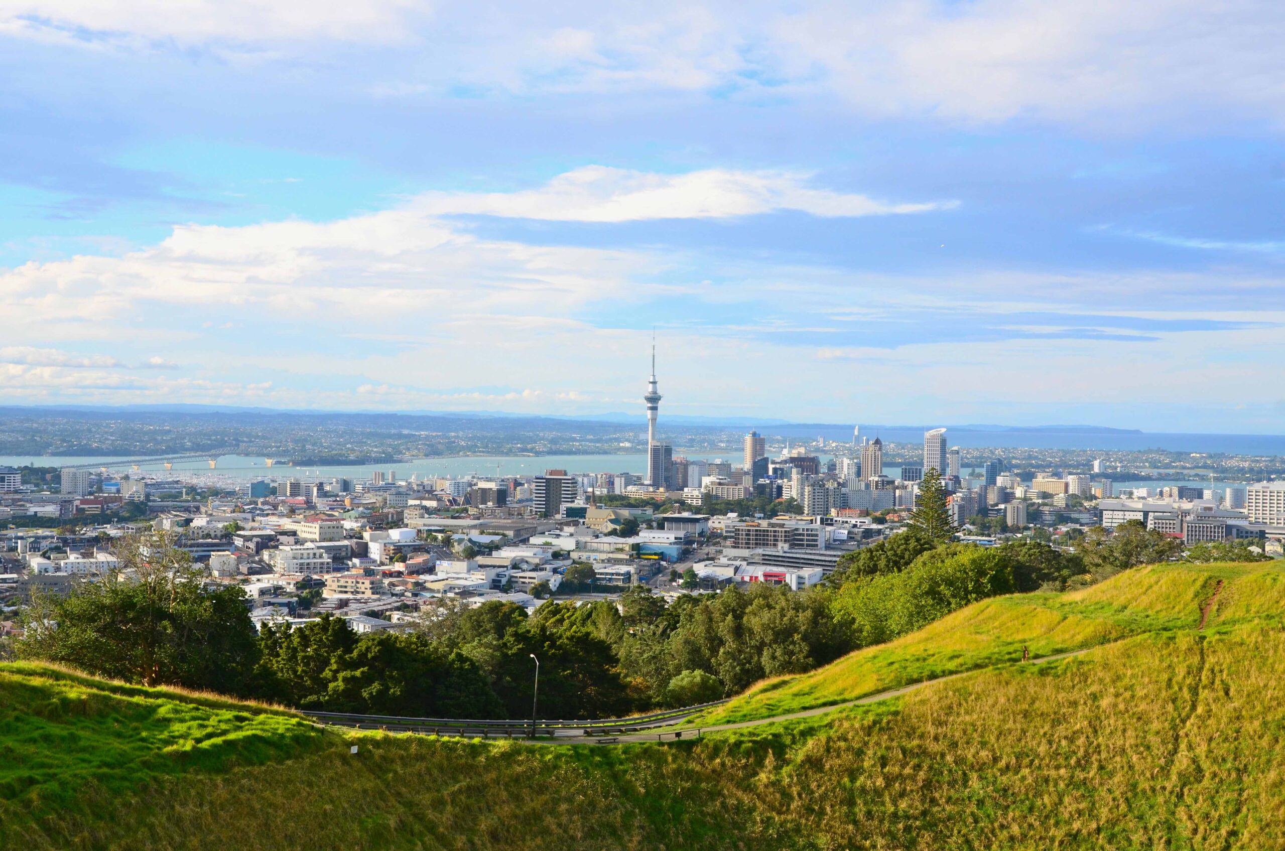 Auckland City & Harbor Sightseeing