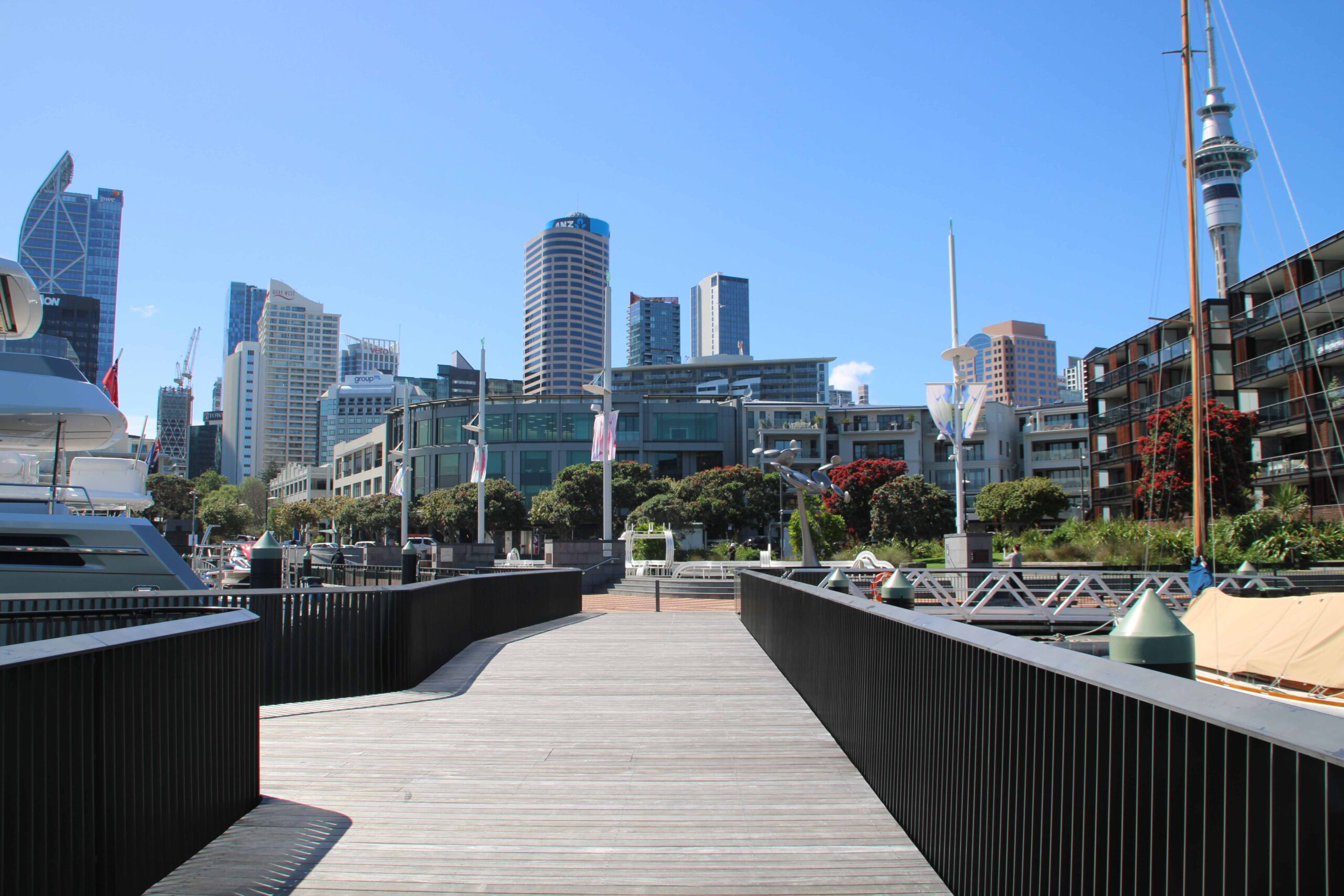 Auckland City & Harbor Sightseeing