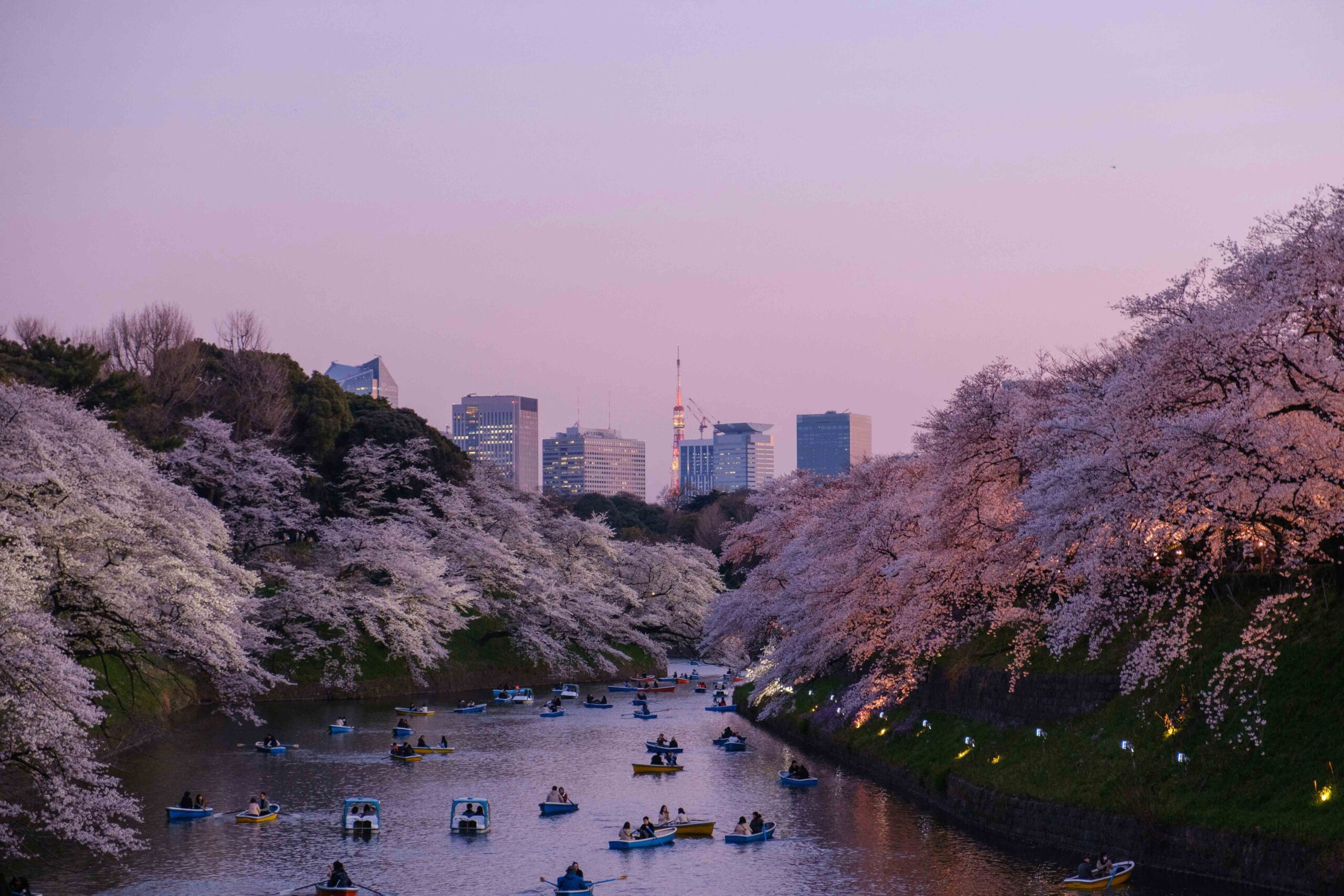 Direct Flight Colombo to Tokyo Narita