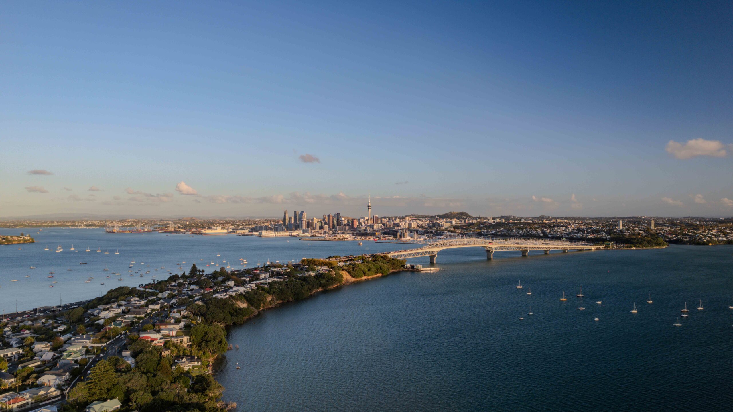 Auckland City & Harbor Sightseeing